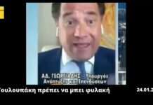 Δεν ήμουν Υπουργός το 2020 όταν ζητούσα να μπει φυλακή η Τουλουπάκη, διαμηνύει ο Γεωργιάδης