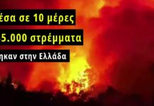Σοκ και Δέος: Στάχτη περισσότερα από 545.000 στρέμματα στην Ελλάδα μέσα σε 10 μέρες